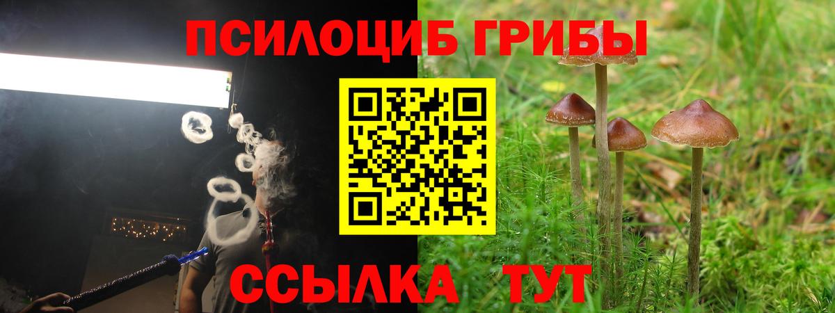 Лянтор  Галлюциногенные грибы Magic Shrooms  Вход с VPN 